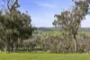 91 Walls Junction Road, Bowning, NSW 2582-Image