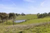 91 Walls Junction Road, Bowning, NSW 2582-Image