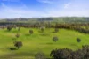91 Walls Junction Road, Bowning, NSW 2582-Image
