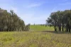 91 Walls Junction Road, Bowning, NSW 2582-Image