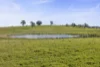 91 Walls Junction Road, Bowning, NSW 2582-Image