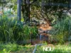 91 Whitehill Road, Eastern Heights, Qld 4305-Image