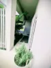 91 Yolanda Drive, Annandale, Qld 4814-Image