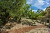 912 Dashwood Gully Road, Meadows, SA 5201-Image
