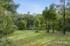 912 Eureka Street, Ballarat East, Vic 3350-Image