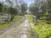 917 Dry Creek Road, Ancona, Vic 3715-Image