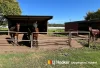 91a Dwyer Road, Pheasants Nest, NSW 2574-Image