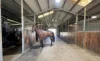 91A Dwyers Road, Pheasants Nest, NSW 2574-Image