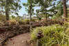 92-98 Horton Drive, Chuwar, Qld 4306-Image