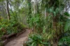 92-98 Horton Drive, Chuwar, Qld 4306-Image