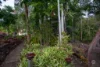 92-98 Horton Drive, Chuwar, Qld 4306-Image