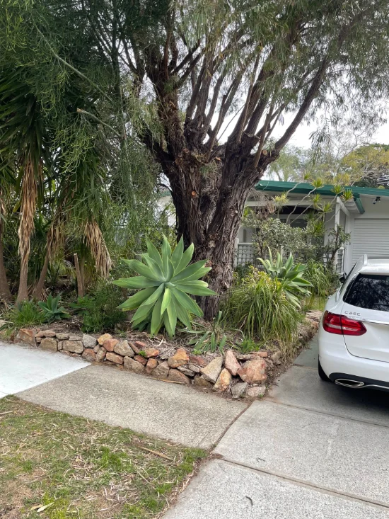 92 Arnott Street, Trigg, WA 6029