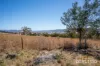 92 Backhouse Lane, Cambridge, Tas 7170-Image