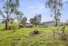 92 Ballyrogan Road, Beaufort, Vic 3373-Image