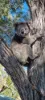 92 Coach Road, Skye, SA 5072-Image