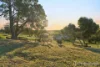 92 Falls Road, Serpentine, WA 6125-Image