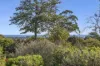 92 Flinders Street, McCrae, Vic 3938-Image