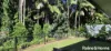 92 Front Street, Mossman, Qld 4873-Image