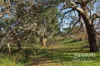 92 Gallantry Avenue, Craigieburn, Vic 3064-Image