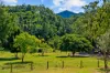 92 Halls Road, Cedar Creek QLD 4520-Image