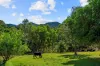 92 Halls Road, Cedar Creek QLD 4520-Image