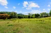 92 Halls Road, Cedar Creek QLD 4520-Image
