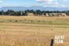 92 Hollows Circuit, MacGregor, ACT 2615-Image