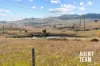 92 Hollows Circuit, MacGregor, ACT 2615-Image