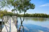 92 Ningi Esplande, Ningi, Qld 4511-Image
