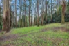 92 Olinda-Monbulk Road, Olinda, Vic 3788-Image