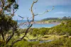 92 Pacific Way, Tura Beach, NSW 2548-Image