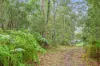 92 Petsch Creek Road, Tallebudgera Valley, Qld 4228-Image