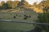 92 Pioneer Drive, Narangba, Qld 4504-Image