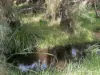 92 Robinson Street, Gingin, WA 6503-Image