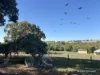 92 Robinson Street, Gingin, WA 6503-Image