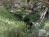 92 Robinson Street, Gingin, WA 6503-Image