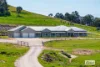 92 Springvale Lane, Kiewa, Vic 3691-Image