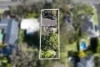 92 Turner Road, Berowra Heights, NSW 2082-Image