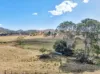920 Reckumpilla Street, Mount Alford, Qld 4310-Image