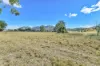 920 Reckumpilla Street, Mount Alford, Qld 4310-Image