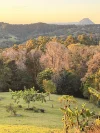 922 Cooroy Belli Creek Road, Ridgewood, Qld 4563-Image