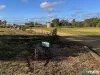 923 Ellesmere Road, Ellesmere, Qld 4610-Image