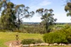 925 Pinnacle Road, Orange, NSW 2800-Image