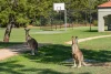 93/19 Santa Barbara Road, Hope Island, Qld 4212-Image
