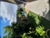 93 Brocas Ave, St Clair, SA 5011-Image