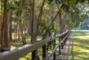 93 Clarendon Road, Peregian Beach, Qld 4573-Image
