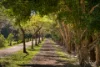 93 Clarendon Road, Peregian Beach, Qld 4573-Image