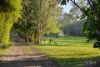 93 Clarendon Road, Peregian Beach, Qld 4573-Image