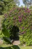 93 Digby Road, Hamilton, Vic 3300-Image