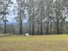 93 Forest Drive, Hampton, Qld 4352-Image